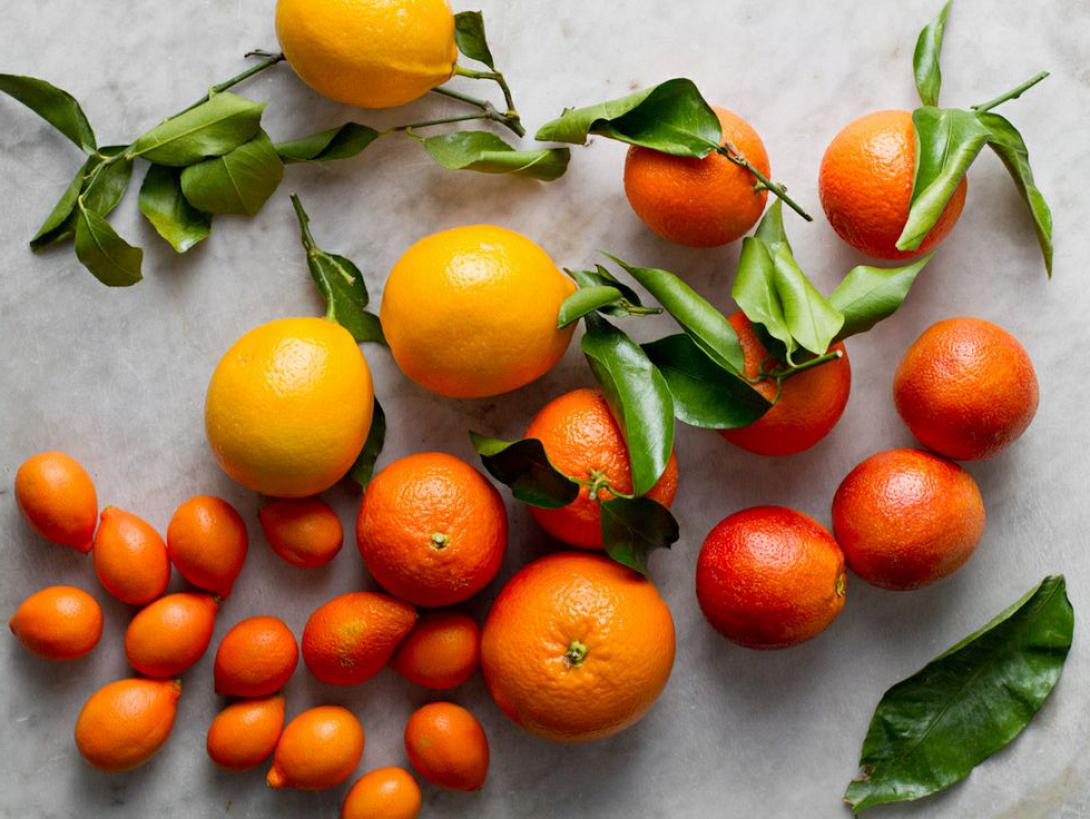 εσπεριδοειδη