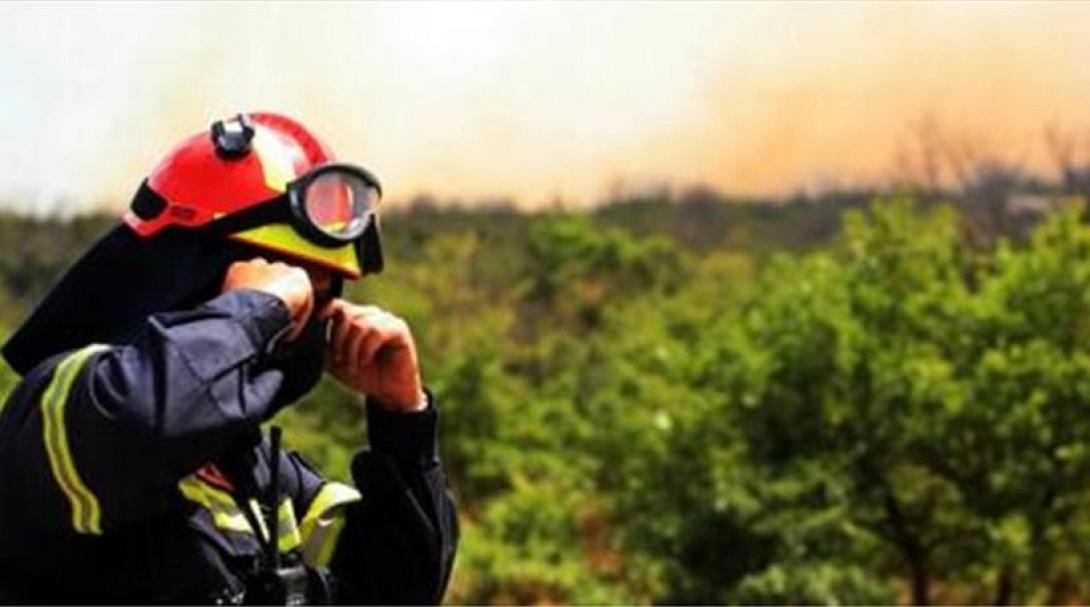 Άγρια νύχτα λόγω φωτιάς έζησε η Λυγαριά