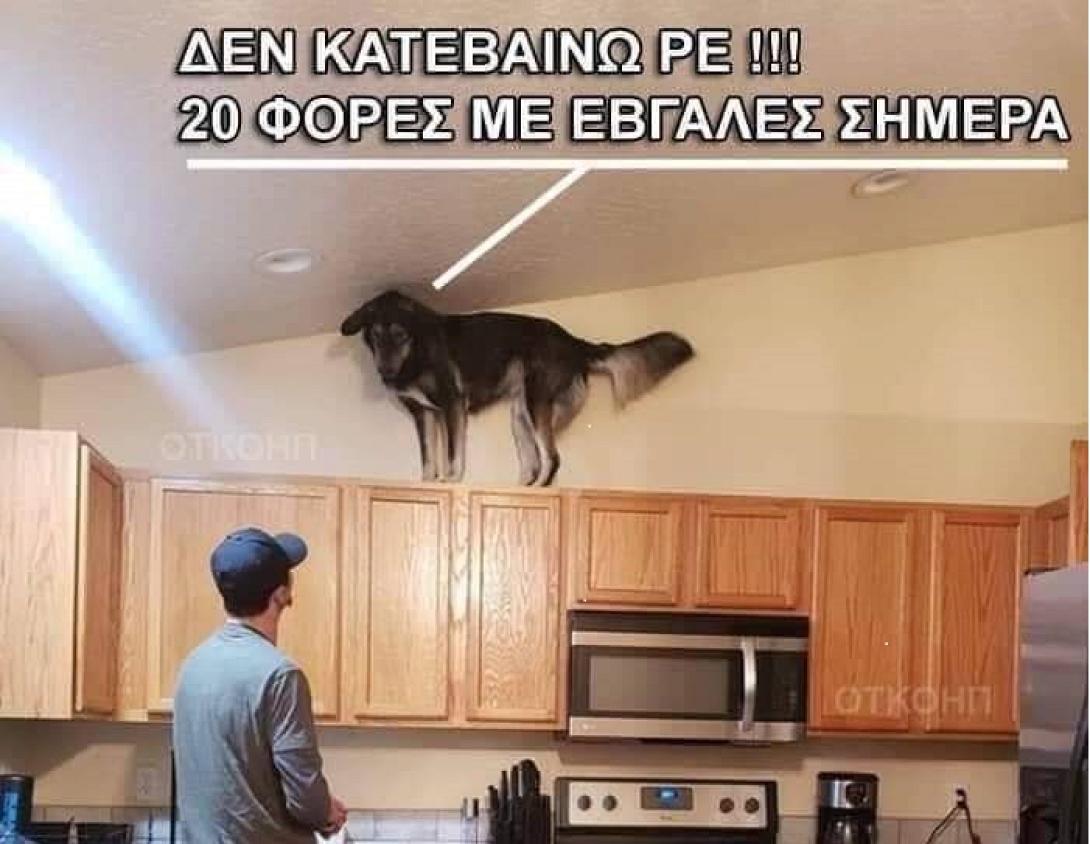 απαγόρευση κυκλοφορίας-twitter