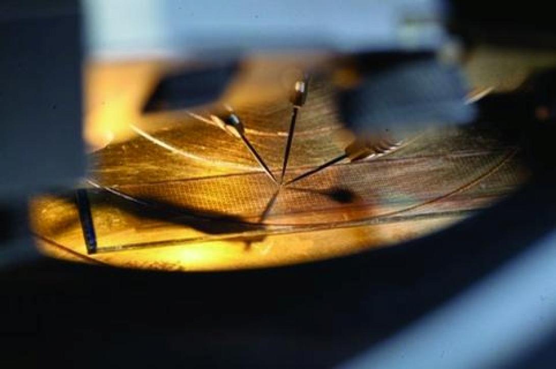 Ανοίγει ο δρόμος για τη μαζική παραγωγή εύκαμπτων υπολογιστών που τυλίγονται σαν χαρτί