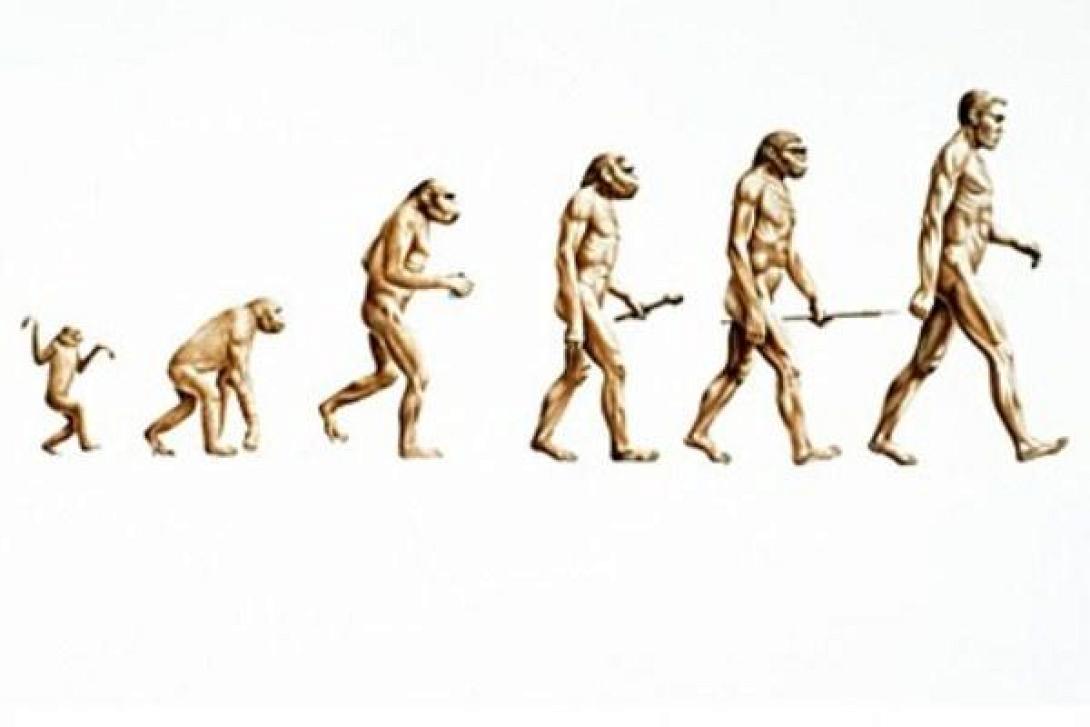 evolution2.jpg