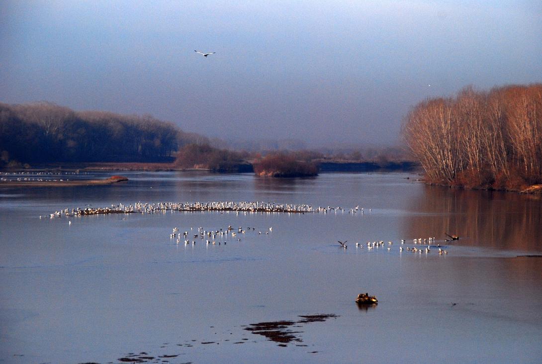 Αγνοείται 49χρονος αστυνομικός στον ποταμό Έβρο
