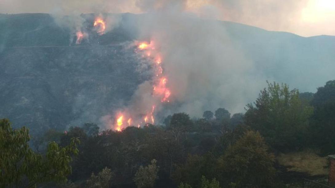 φωτιά εύβοια