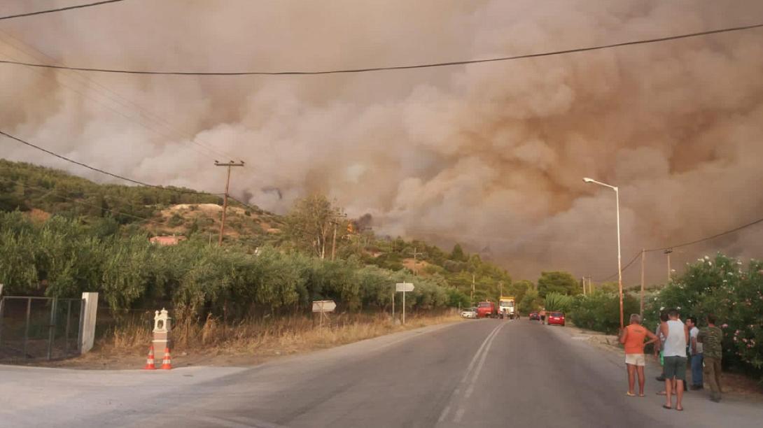 εύβοια φωτιά