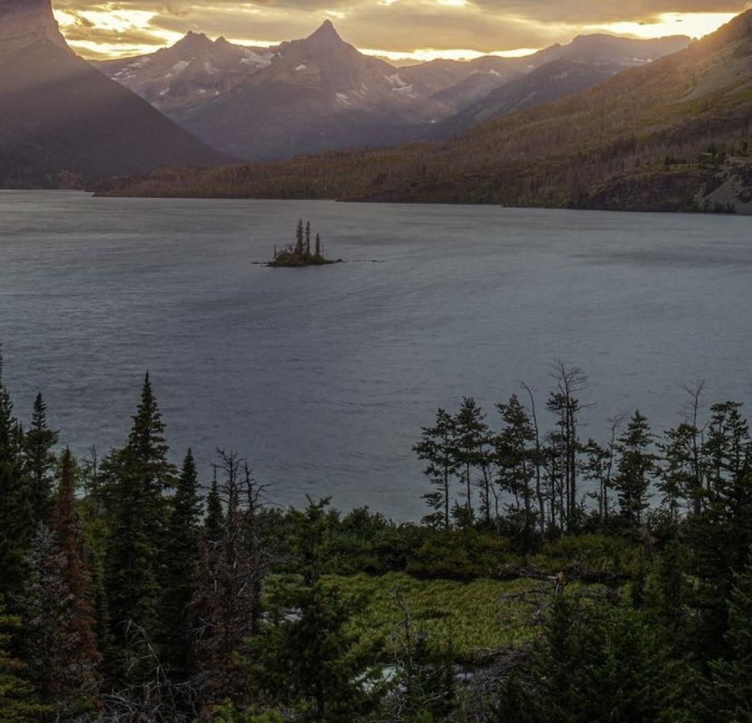 ταπετσαρία κινητού