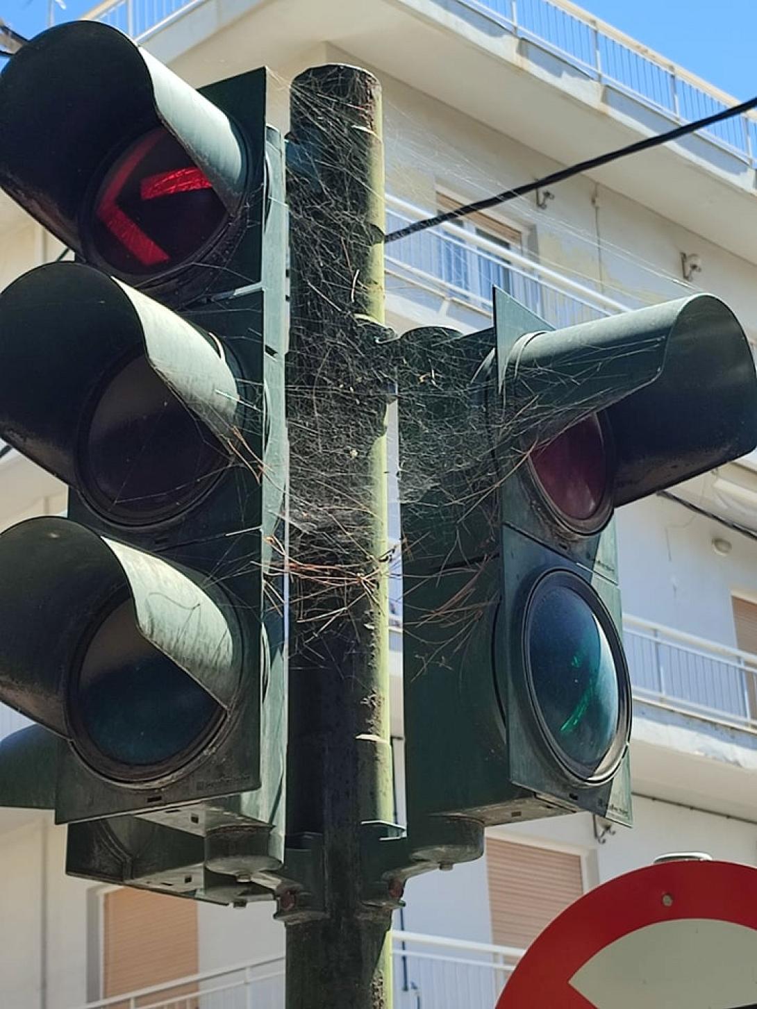 φανάρι ιστός αράχνης