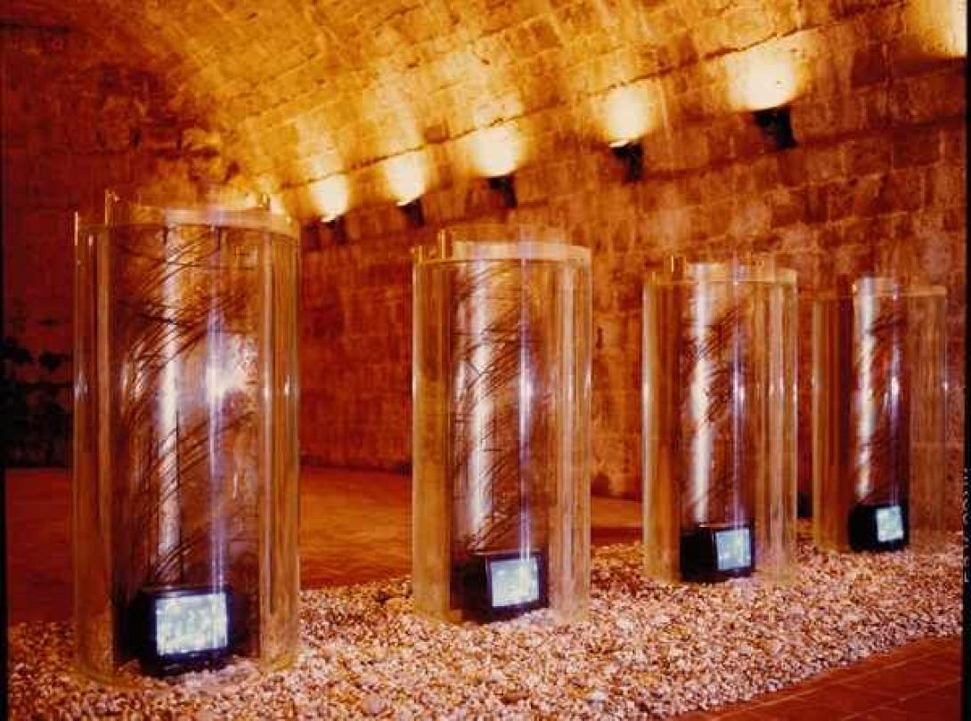 Παρατείνεται λόγω μεγάλης προσέλευσης η έκθεση "Τα Φαντάσματα της Μεσογείου"