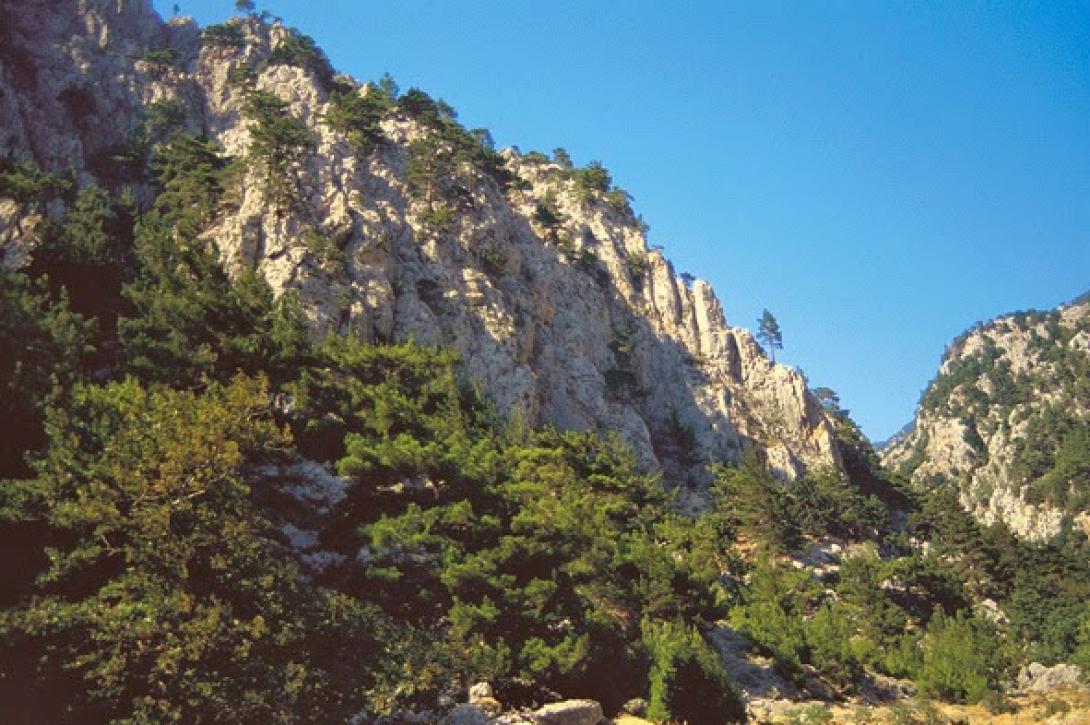 Χανιά: Βρέθηκε η  26χρονη που είχε χαθεί στο φαράγγι της Αγίας Ειρήνης 