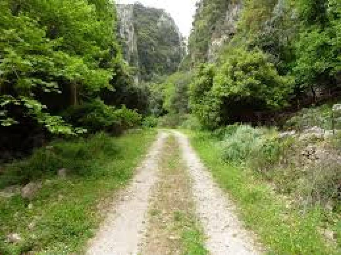 Τραυματίστηκε τουρίστας ενώ έκανε πεζοπορία στο Δελιανό Φαράγγι 