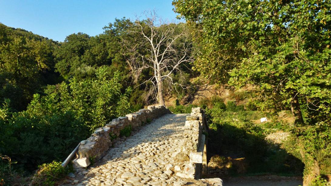 Η γέφυρα του Λαχανά - Φαράγγι του Ρίχτη