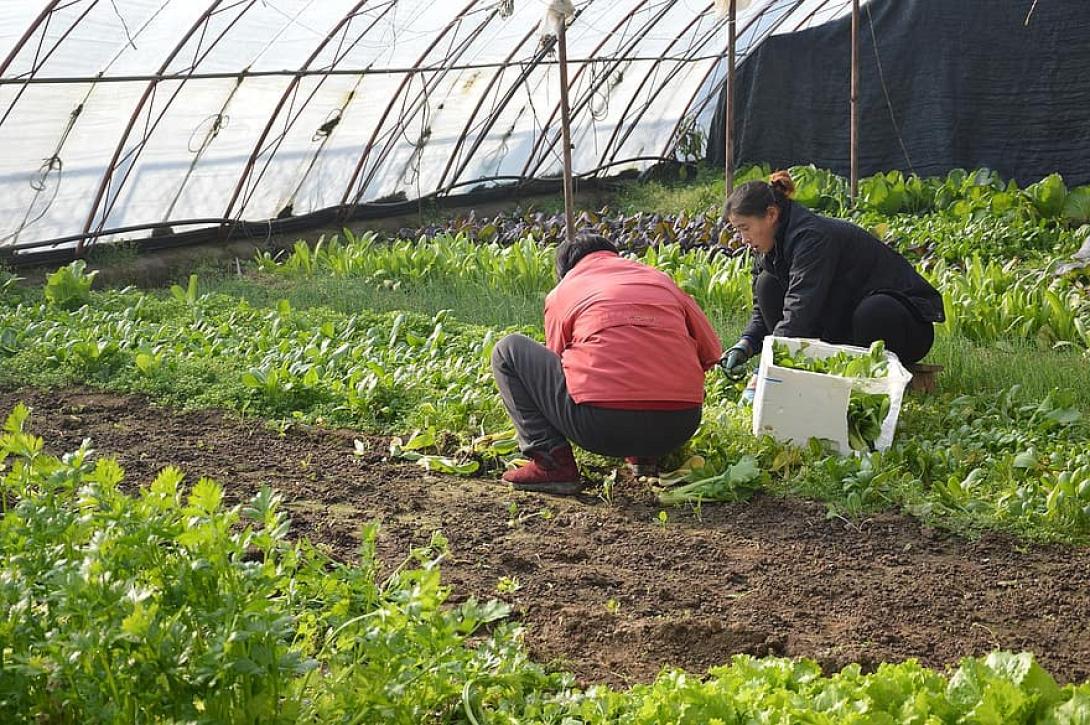 Φωτό αρχείου