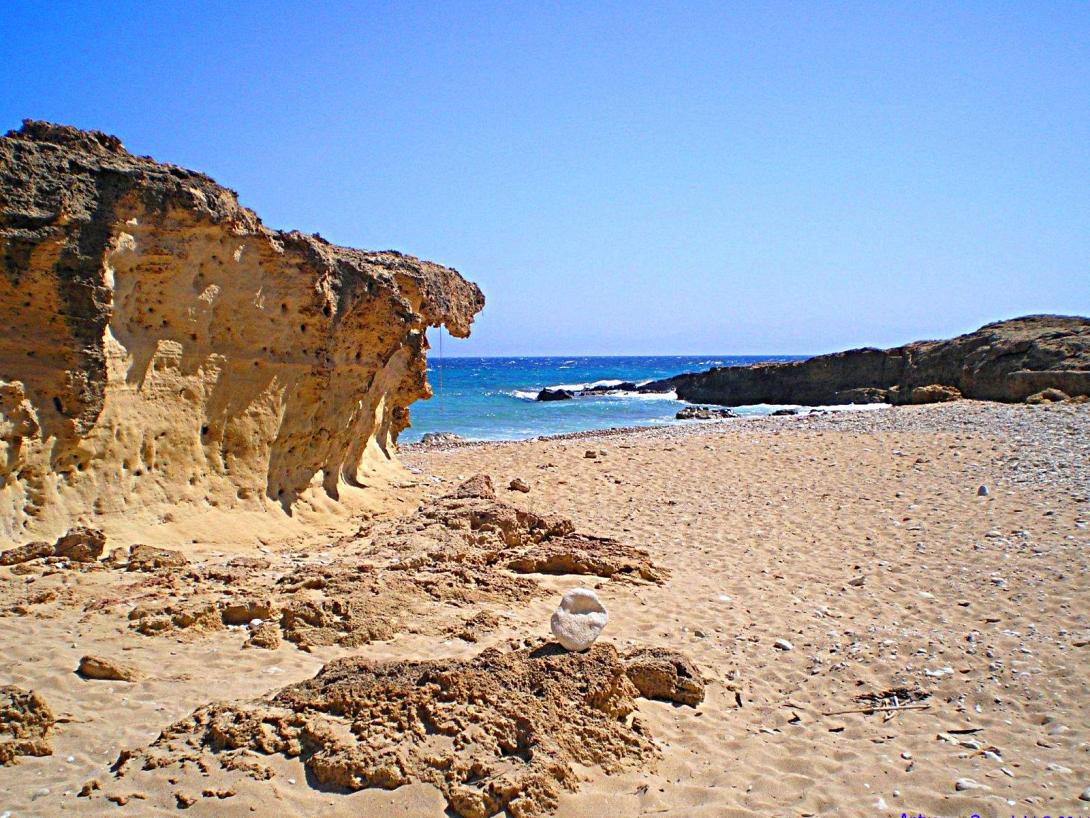 φετιφέ γαύδος