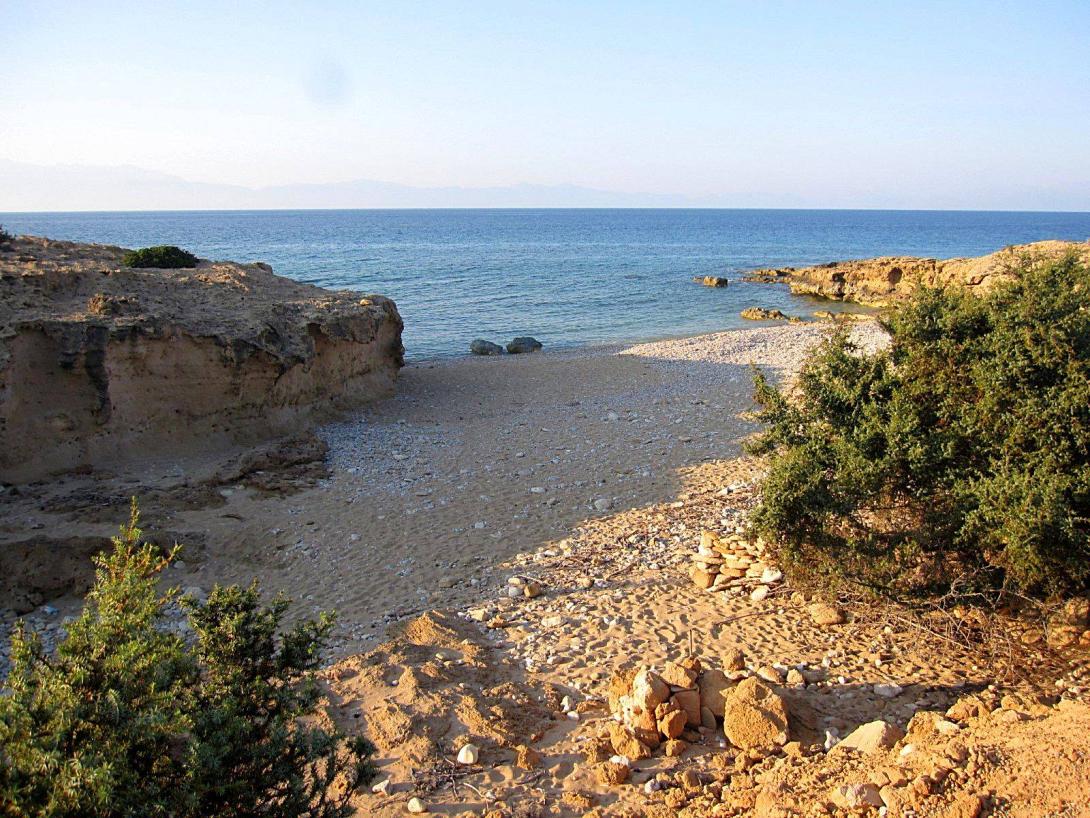 φετιφέ γαύδος