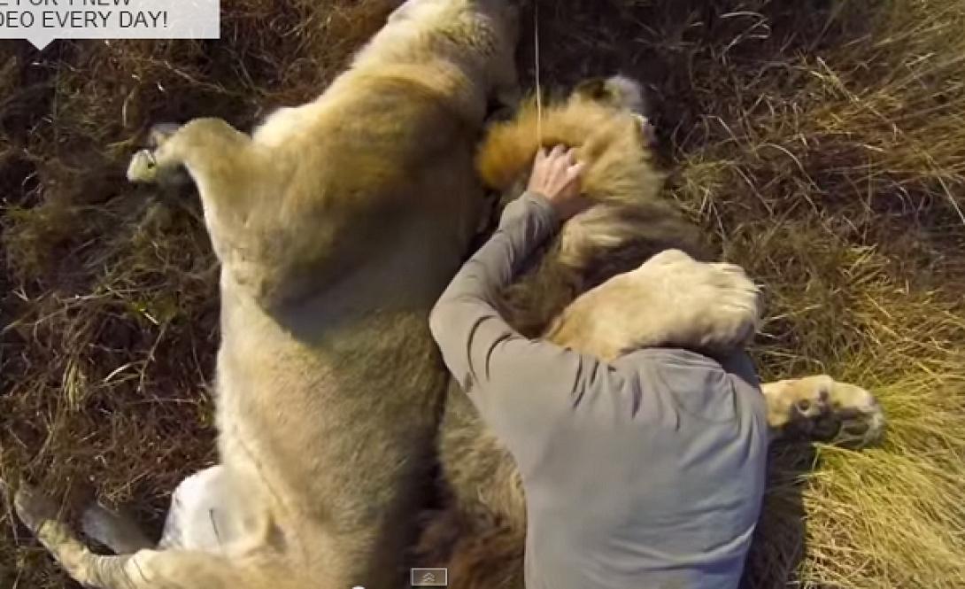 Διεκδικεί τον τίτλο του καλύτερου φίλου του ανθρώπου (βίντεο)