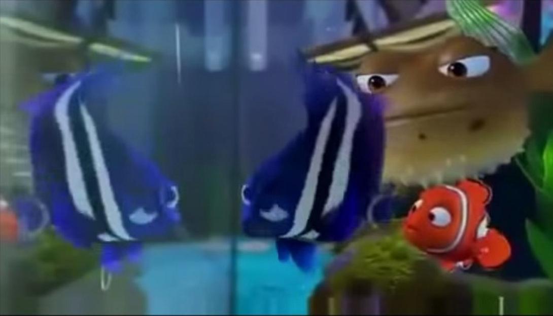 Όταν τα ζώα συναντούν τον ...  εαυτό τους (βίντεο)