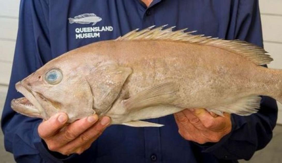 fish251019.jpg