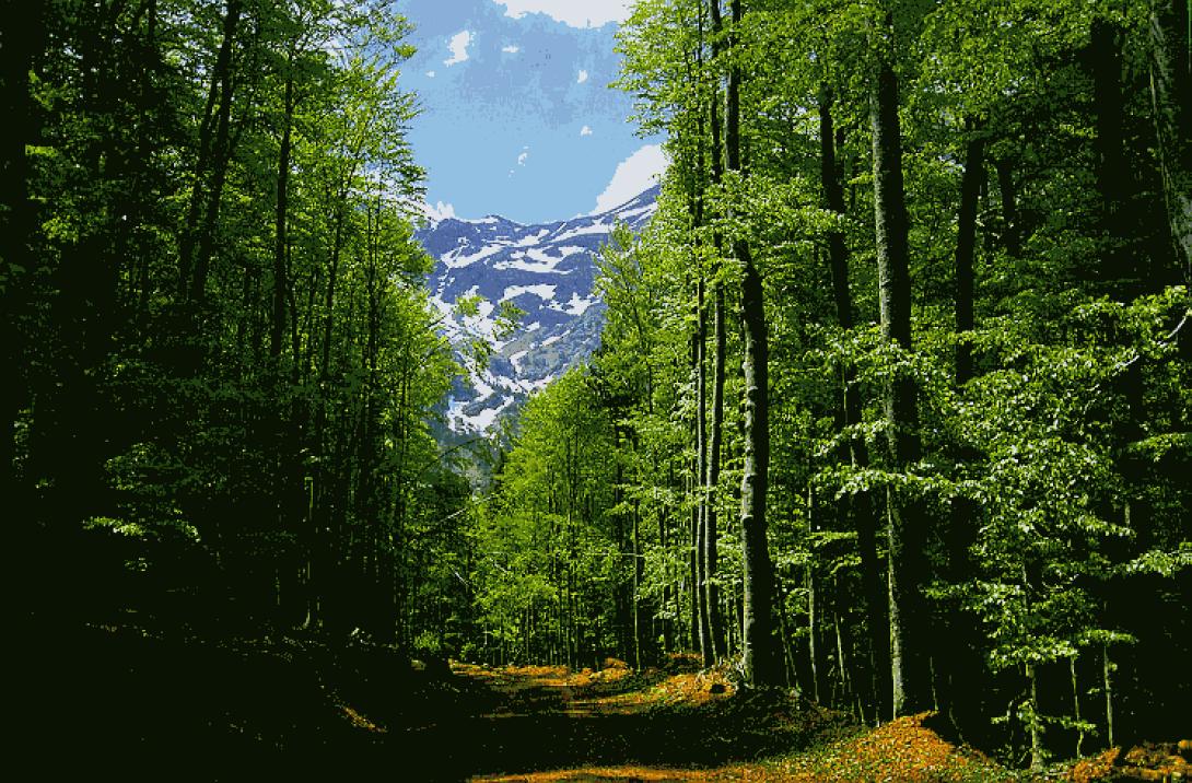 περιβάλλον