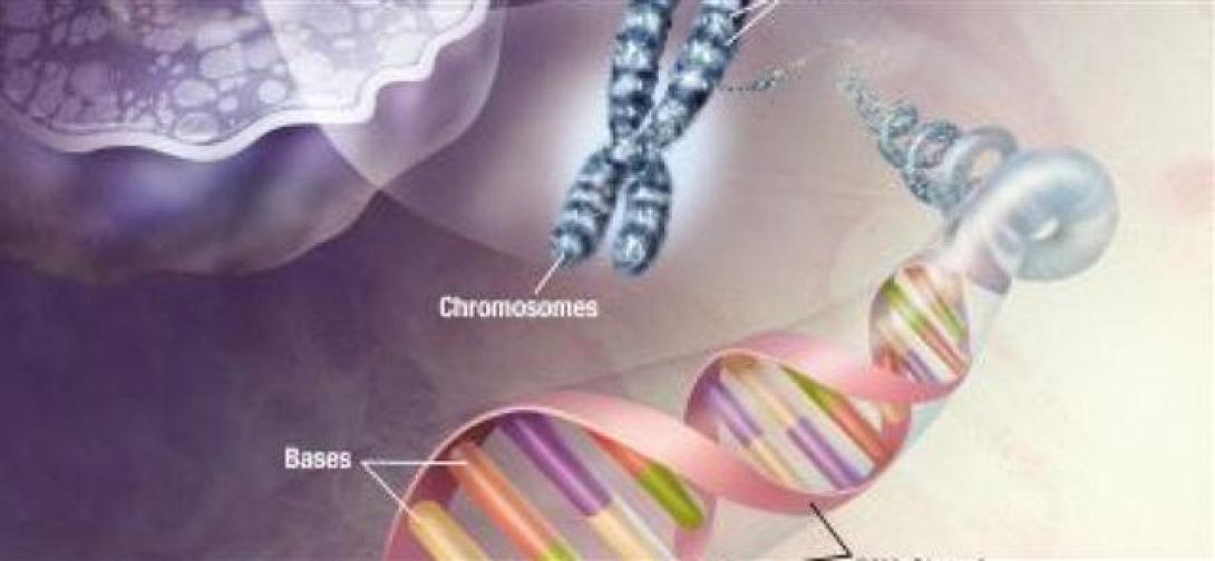 Η Φλεγμονή ως Θεραπευτική Διαδικασία