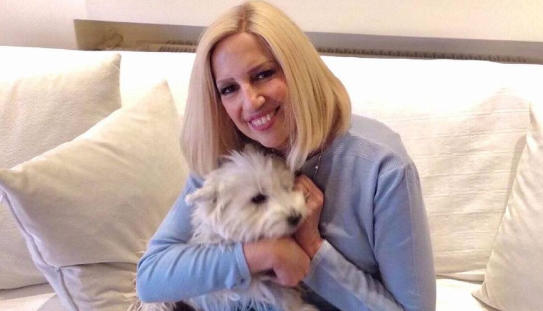 φώφη γεννηματά