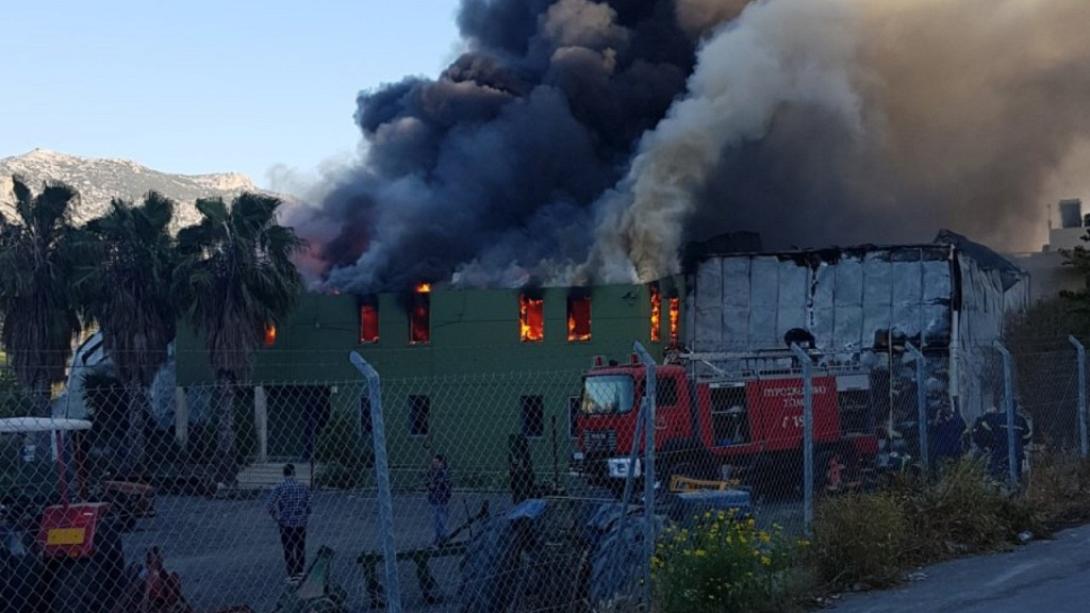 φωτιά Φοινικιά