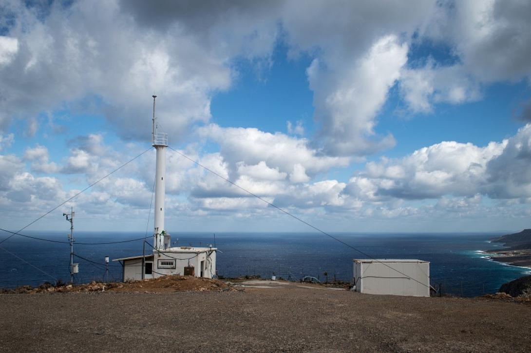 Φοινοκαλιά