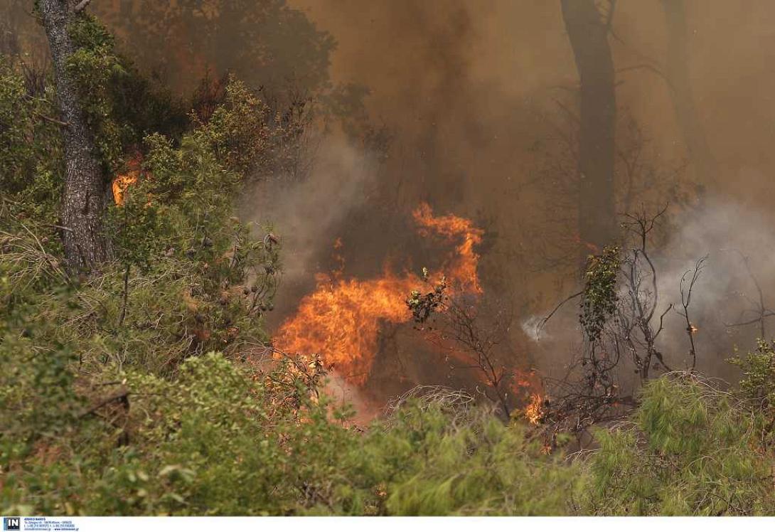 φωτιά εύβοια