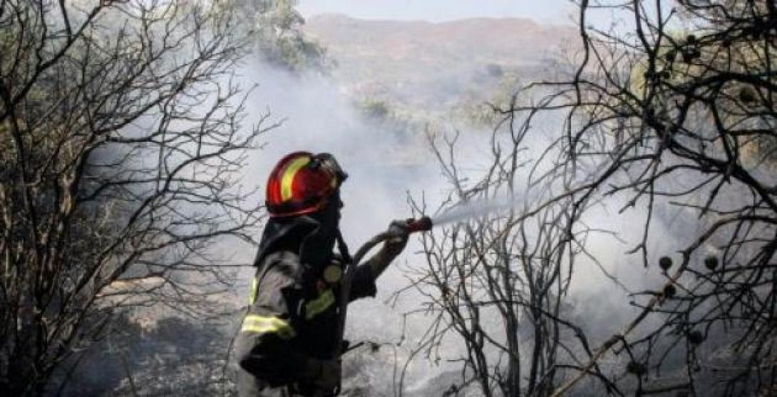 ΕΛΓΑ: Αποζημιώσεις  σε Βιάννο και Άγιο Βασίλειο Ρεθύμνου για τις πυρκαγιές 