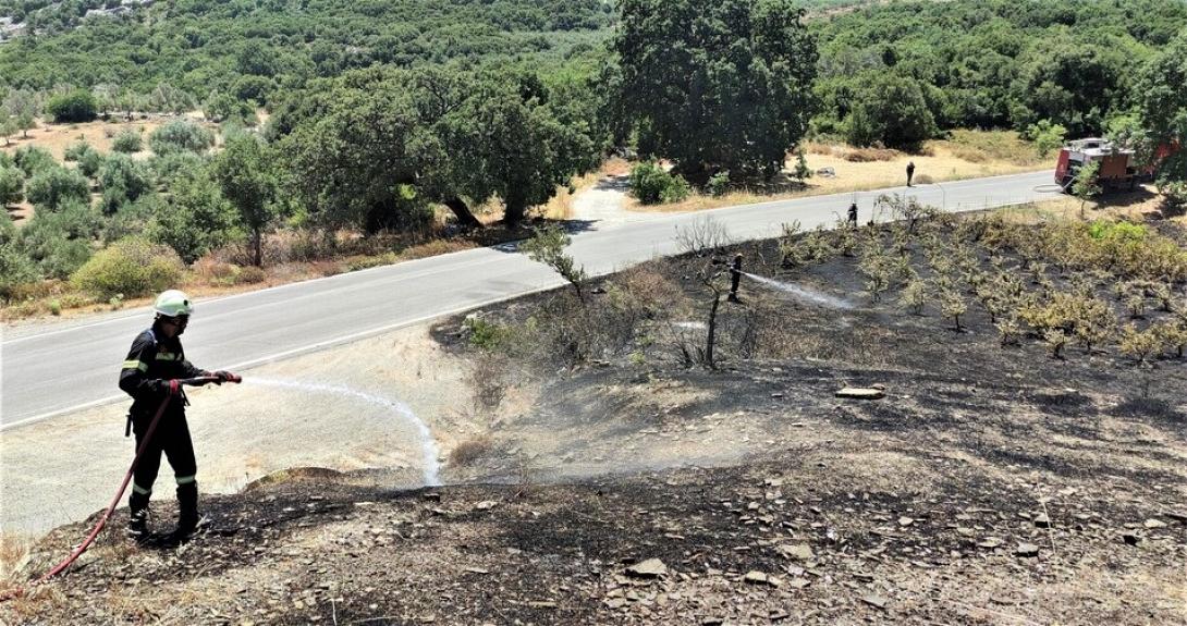 φωτιά - Αηδονοχώρι