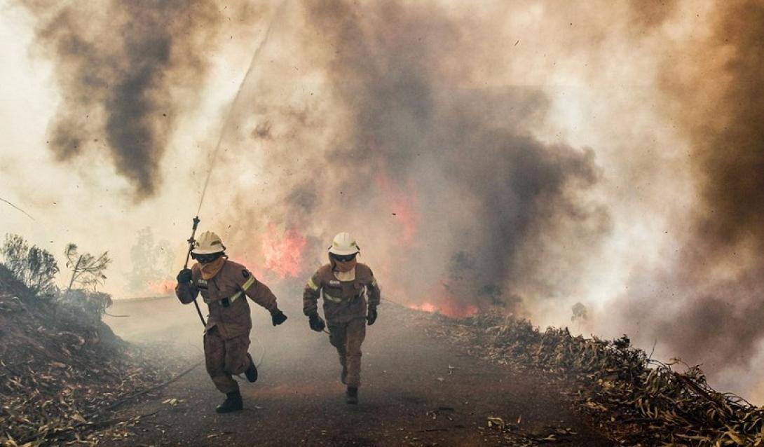 φωτιά πορτογαλίας