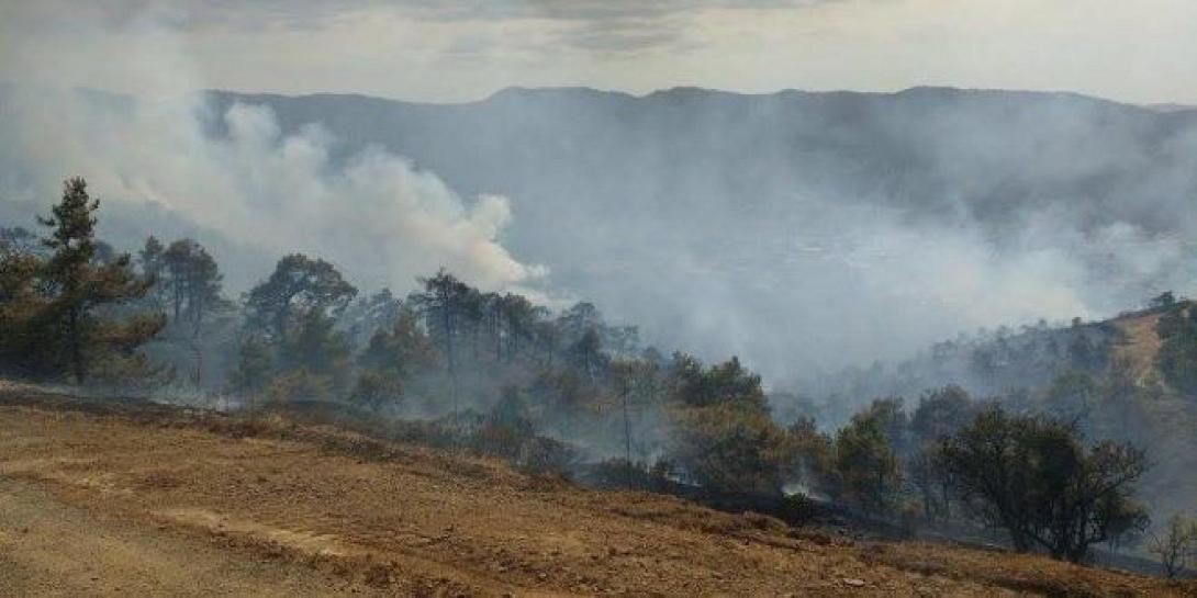 φωτιά Κύπρος