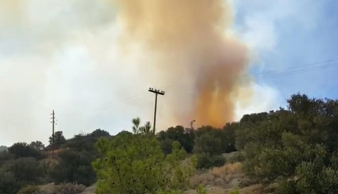 Φωτιά Μαδράτι