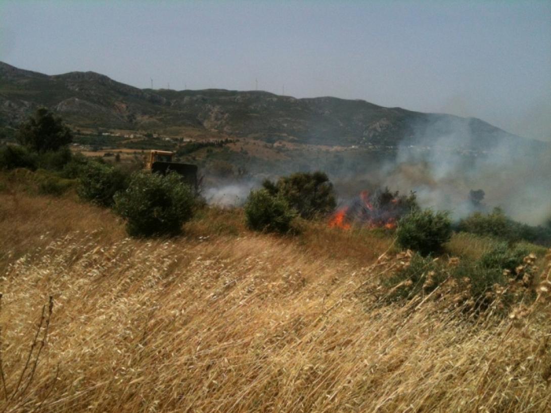 15 στρέμματα έγιναν στάχτη από τη φωτιά στον Προφήτη Ηλία