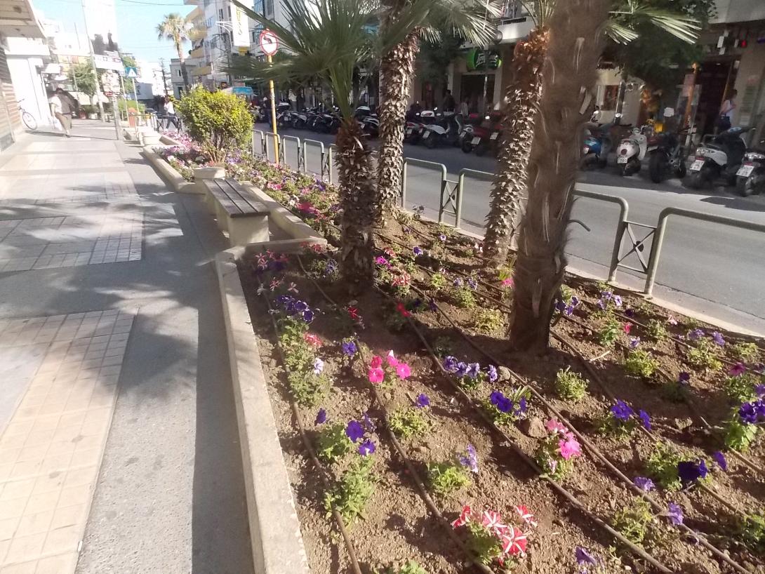 ημερα περιβαλλοντος ηρακλειο