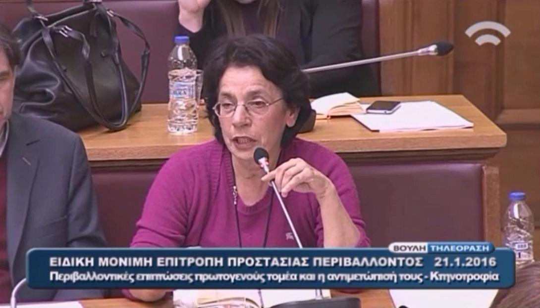 βαγιωνακη βαλια.png