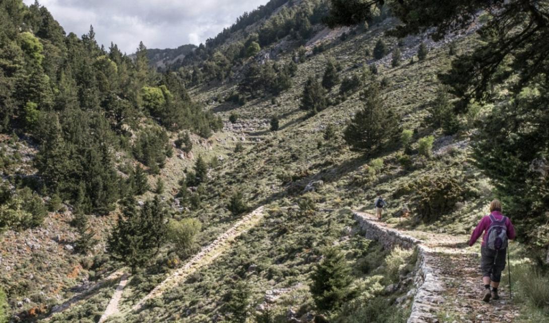 Βασιλική Στράτα Χανιά Πλατανιάς