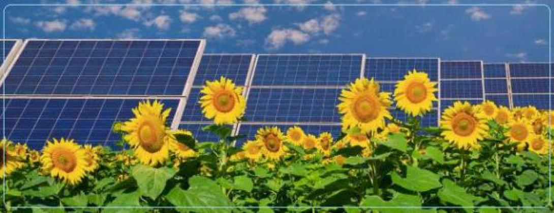 Επεισόδια στη διαμαρτυρία για τα φωτοβολταϊκά στην Αθήνα