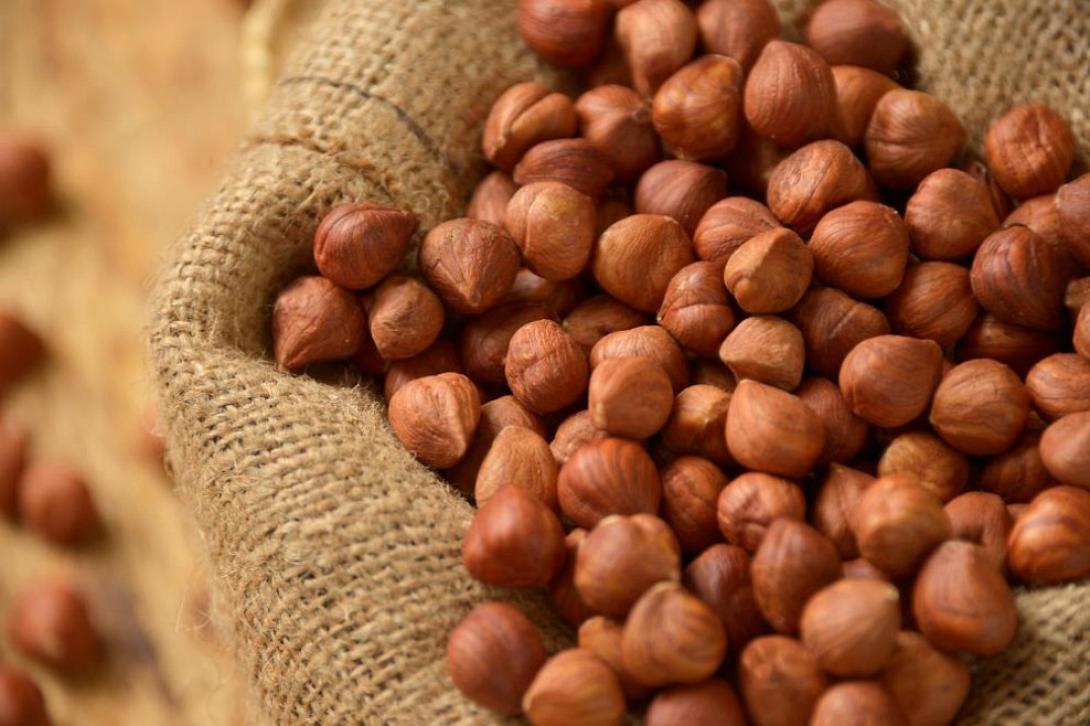 Ο Κρητικός αγρότης πουλάει το σταφύλι  25 λεπτά και ο Τούρκος το φουντούκι 20 ευρώ !