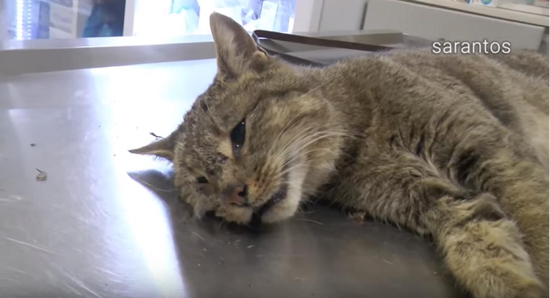 φουρόγατος