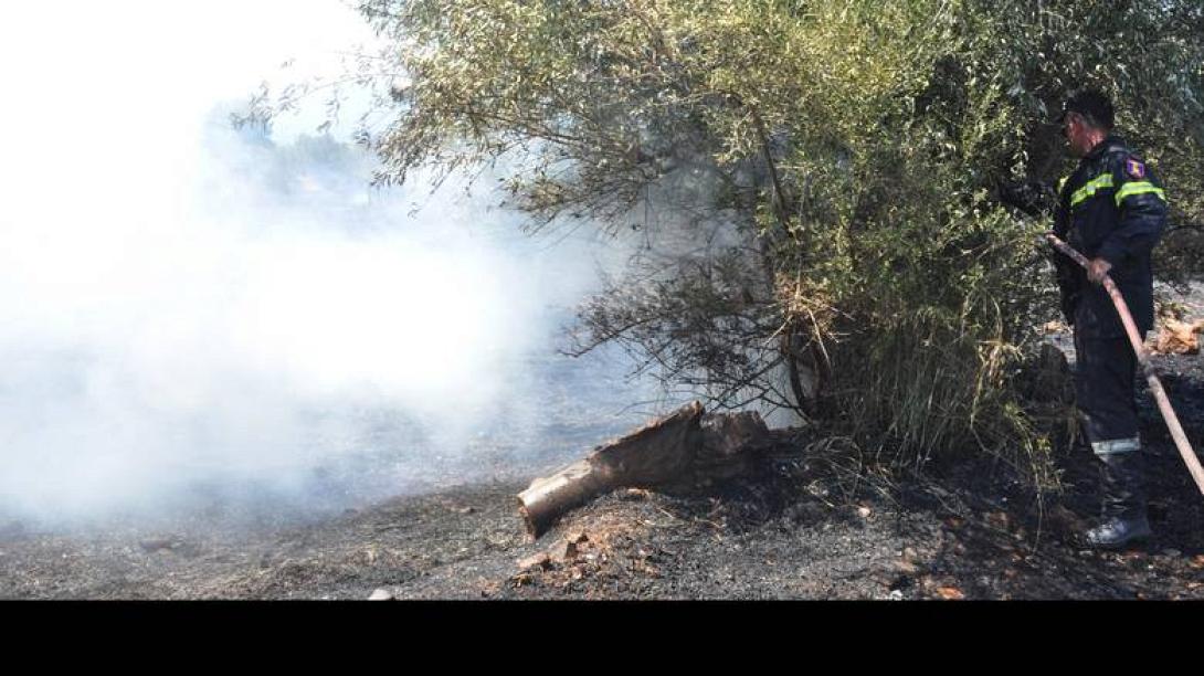 πυρκαγια κεφαλονια
