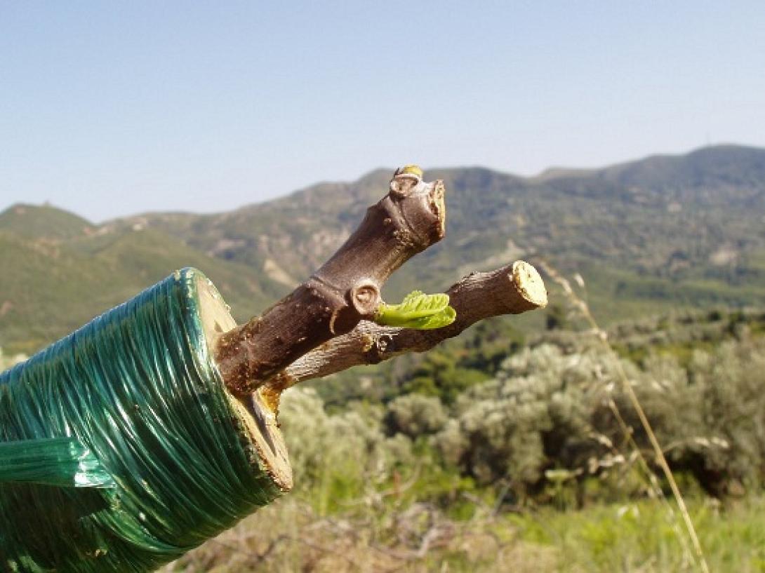 Διεθνές Συνέδριο στο Ηράκλειο από το Πολυτεχνείο και το ΤΕΙ Κρήτης