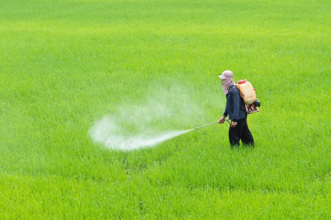 φυτοφαμρακα καλη.jpg