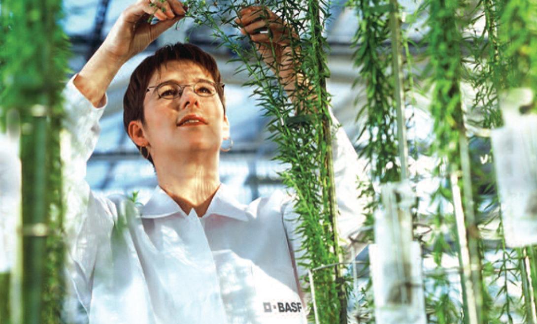 Σεμινάριο από τους γεωπόνους για την ολοκληρωμένη φυτοπροστασία κηπευτικών