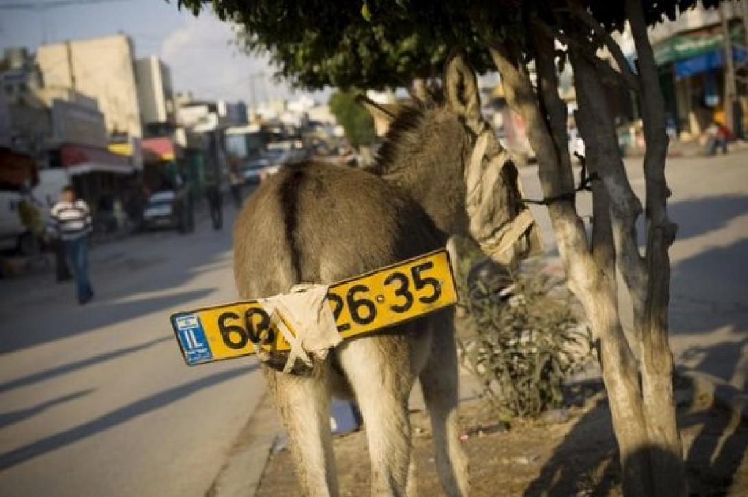 γαιδουρι με αριθμο κυκλοφοριας