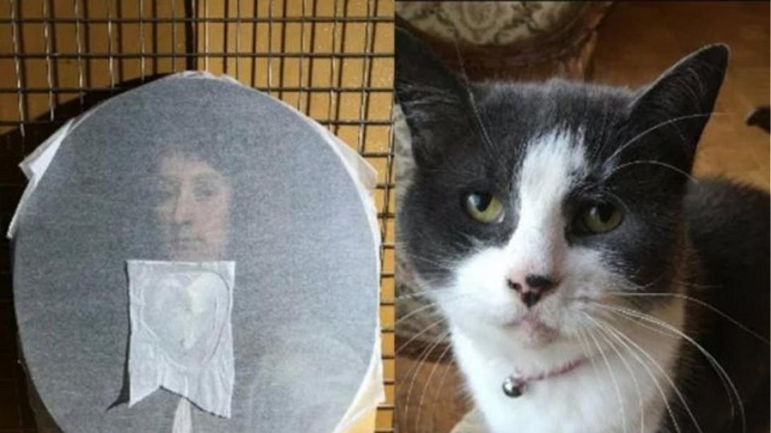 γάτα έργο τέχνης