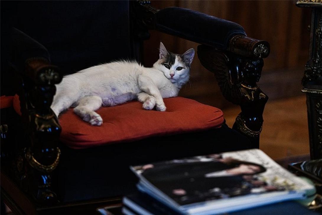 Γατούλα Σακελαροπούλου