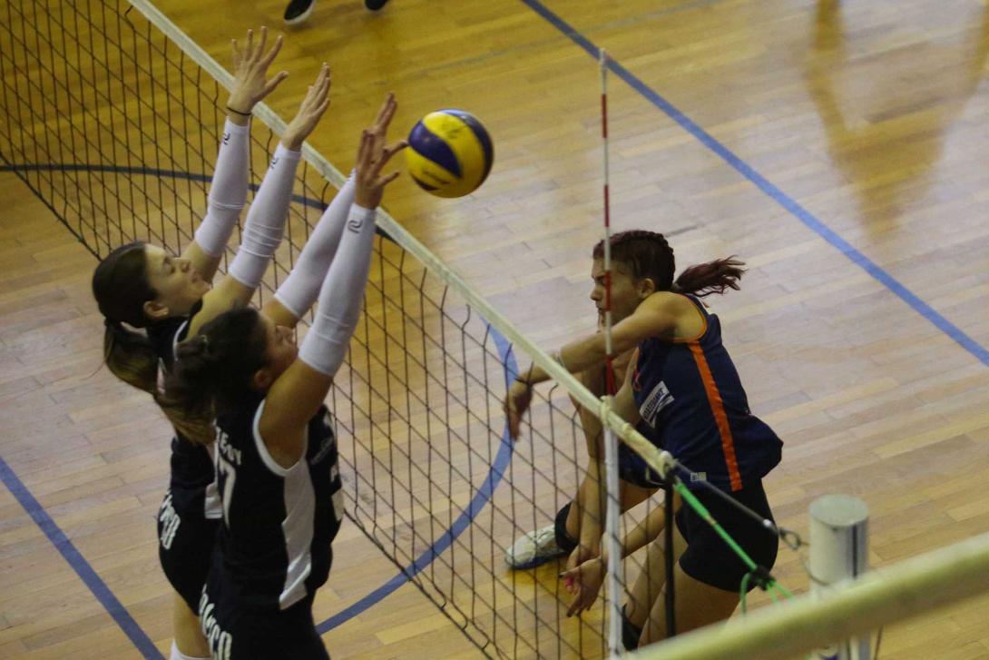 gei-volei.jpg
