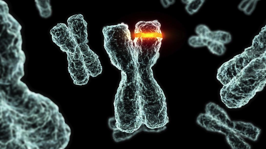 γονιδιακές μεταλλάξεις