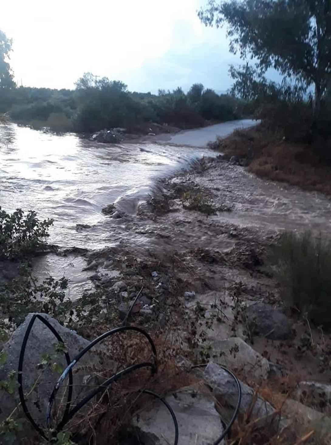 γεροπόταμος