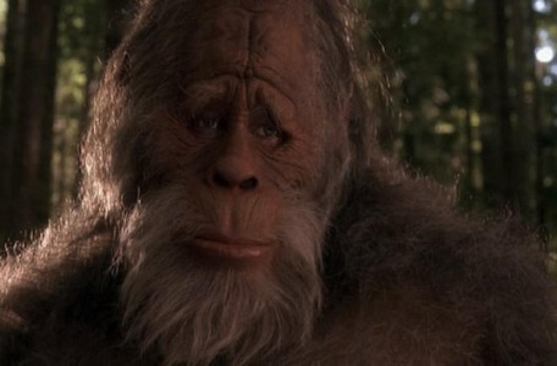 Τελικά ο Μεγαλοπόδαρος δεν υπήρξε ποτέ...