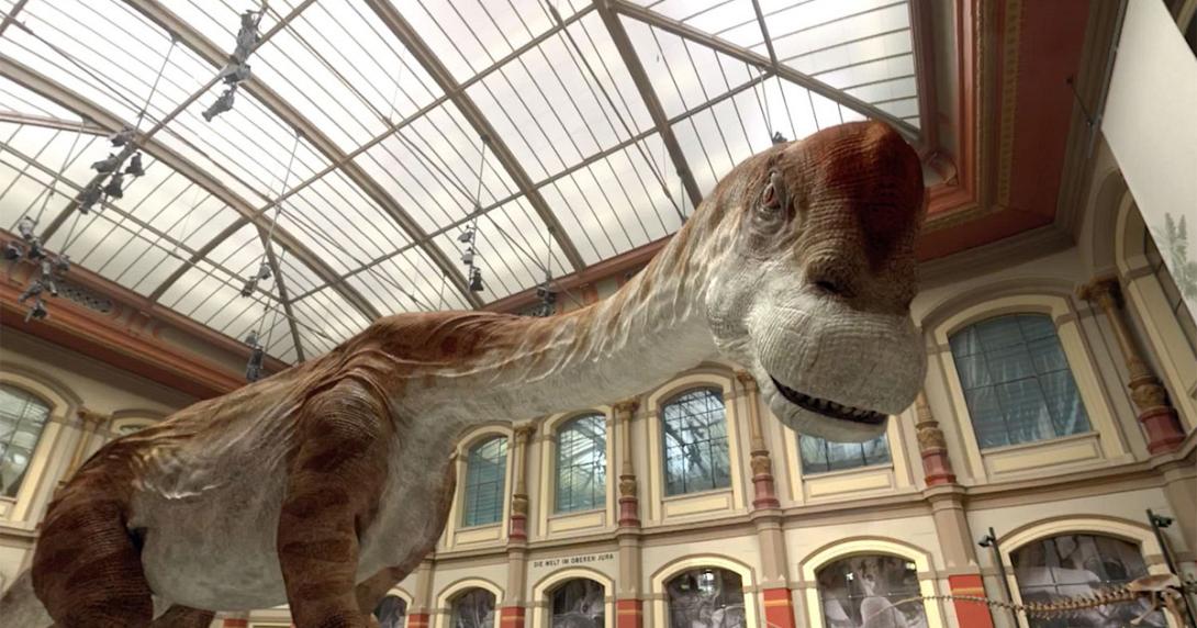 google_natural_history